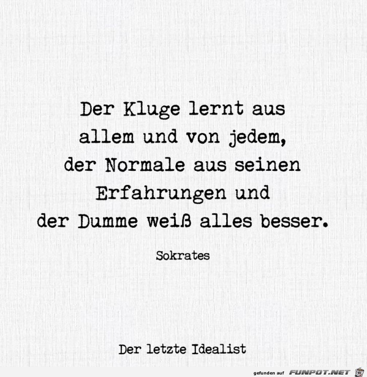 Erfahrungen Erfahrungen