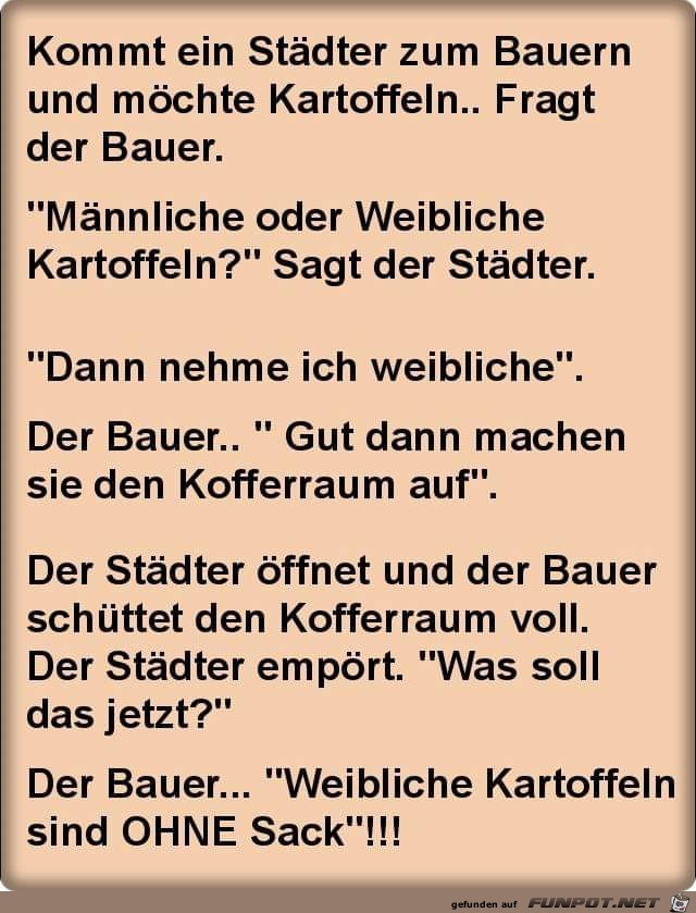 Kartoffeln Kartoffeln