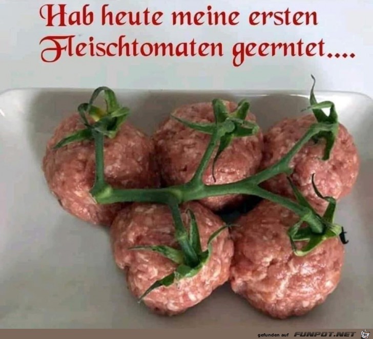 Fleisch-Tomaten