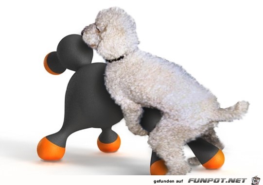 Fuer Hunde Fuer Hunde