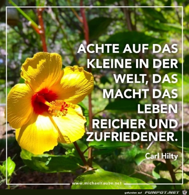achte auf das kleine achte auf das kleine