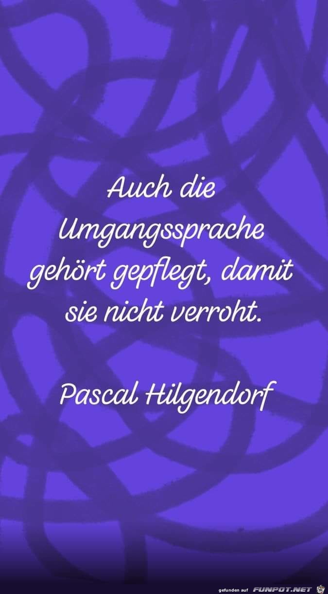 auch die umgangssprache auch die umgangssprache