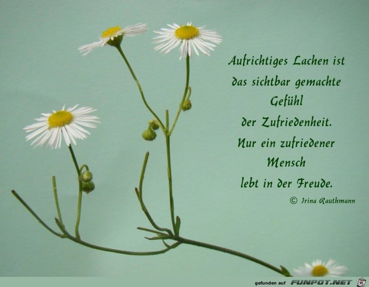 aufrichtiges Lachen aufrichtiges Lachen