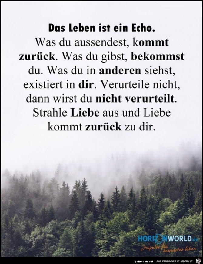 das leben ist ein echo das leben ist ein echo