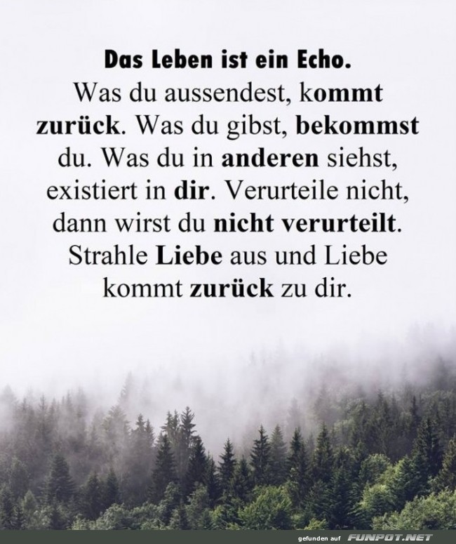 10 sch�ne Spr�che und Lebensweisheiten aus...