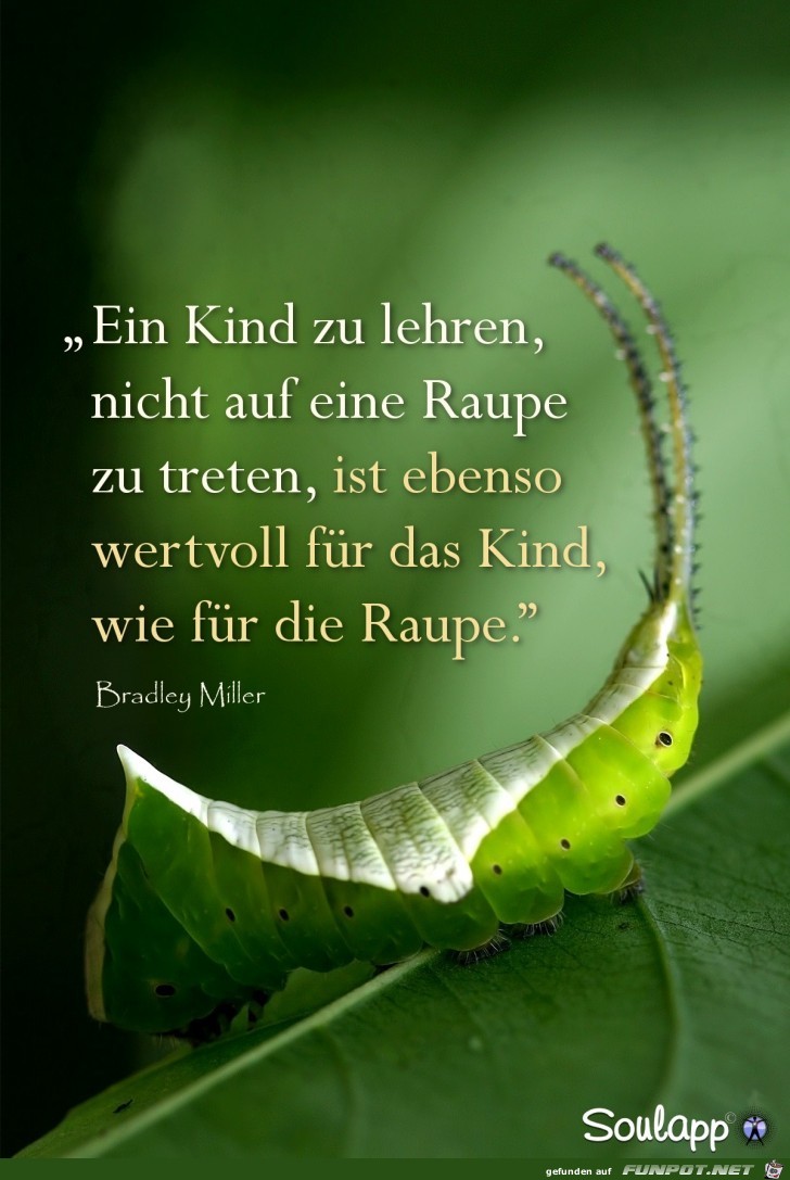 ein kind zu lehren ein kind zu lehren