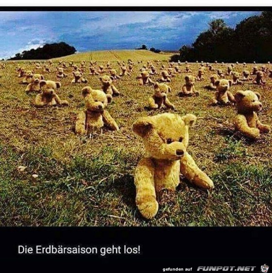 Erdbärsaison Erdbärsaison