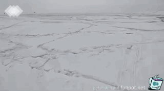 Wellen im Eismeer
