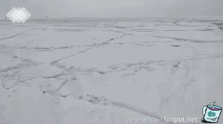Wellen im Eismeer Wellen im Eismeer