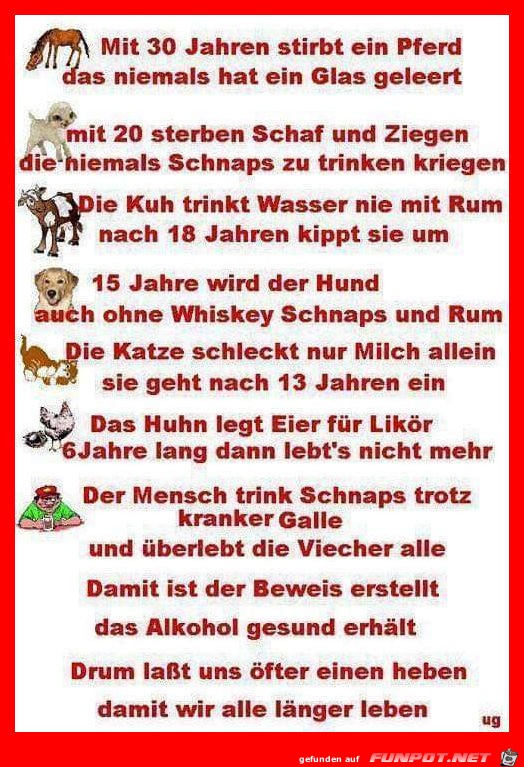 Alkohol ist gesund