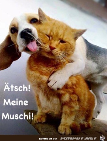Das ist meine Das ist meine