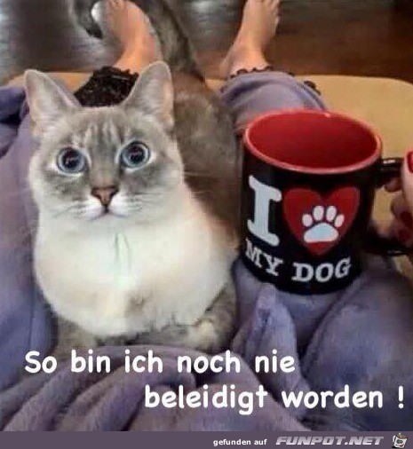 Eine Beleidigung Eine Beleidigung