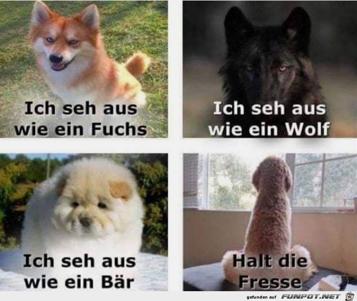 Ich seh aus Ich seh aus