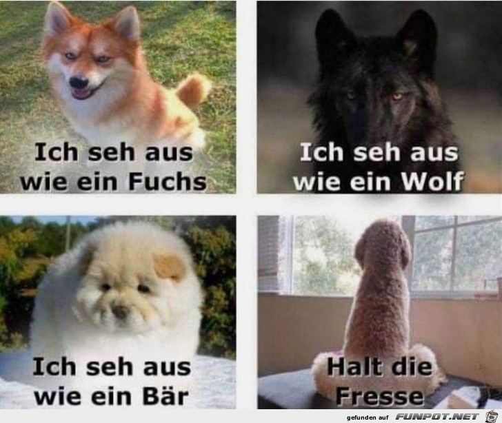 Ich seh aus