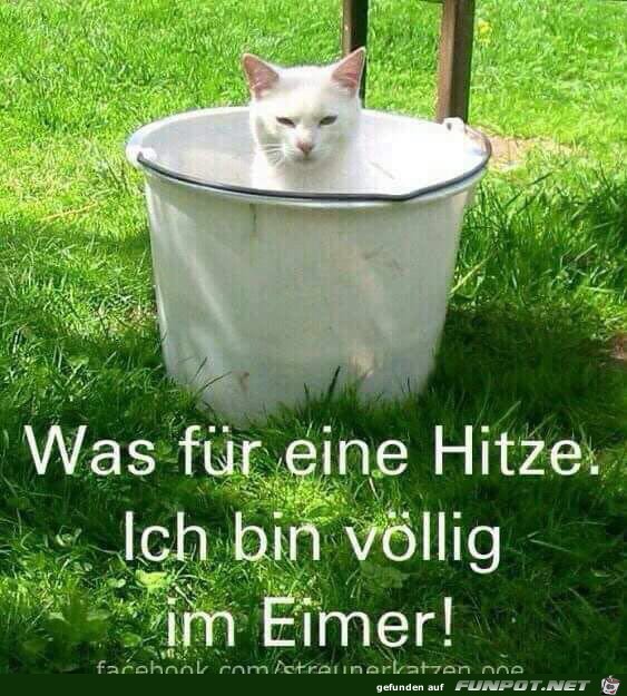 Hitze Hitze