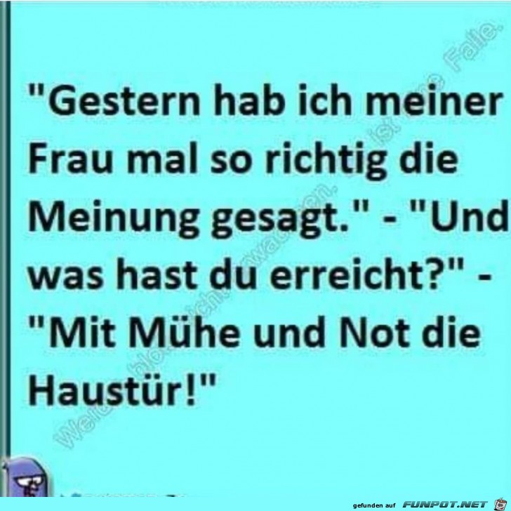 Meinung Meinung