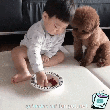 Veräppelt Veräppelt