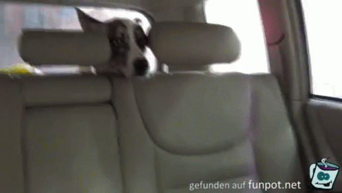 Da kann man nicht zusehen Da kann man nicht zusehen