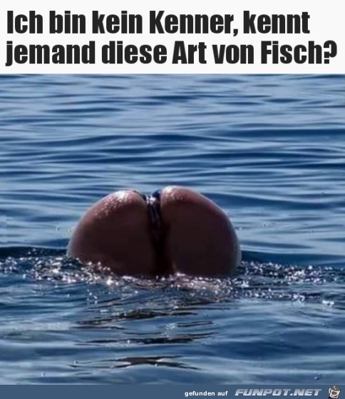 Komischer Fisch