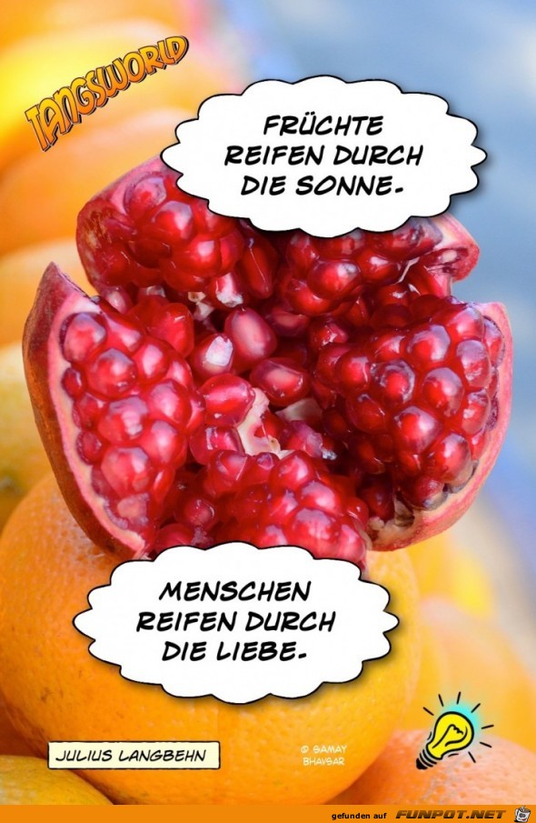 fruechte reifen durch die Sonne