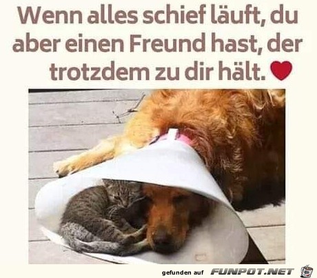 wenn alles schief laeuft wenn alles schief laeuft