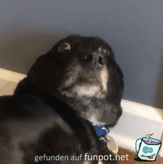 Was ist denn das? Was ist denn das?