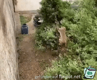 Cooler Trick Cooler Trick