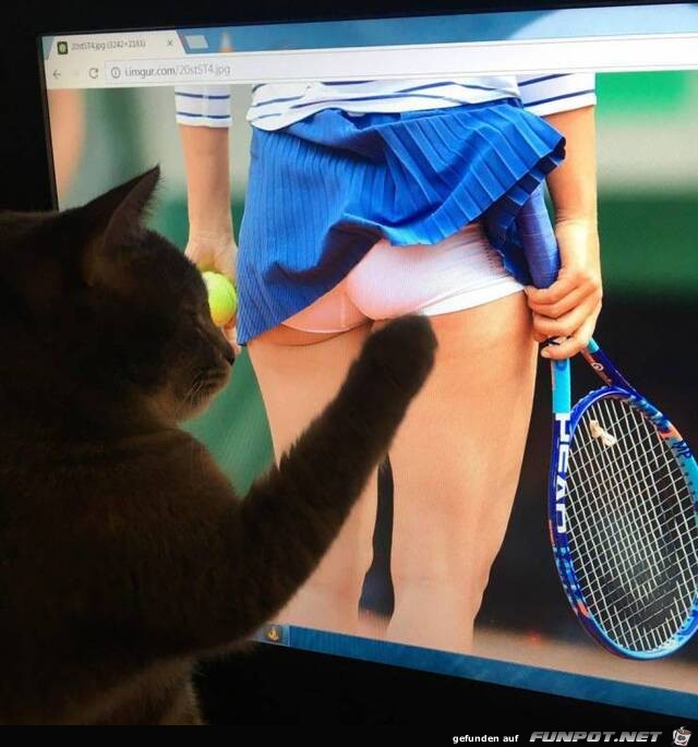 Das gefällt mir Das gefällt mir