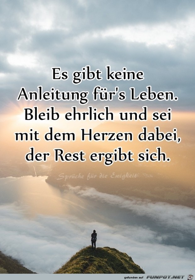 es gibt keine Anleitung es gibt keine Anleitung