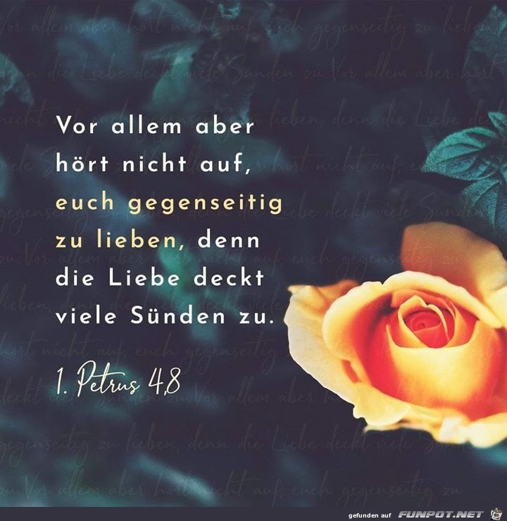 1. Petrus 48 1. Petrus 48