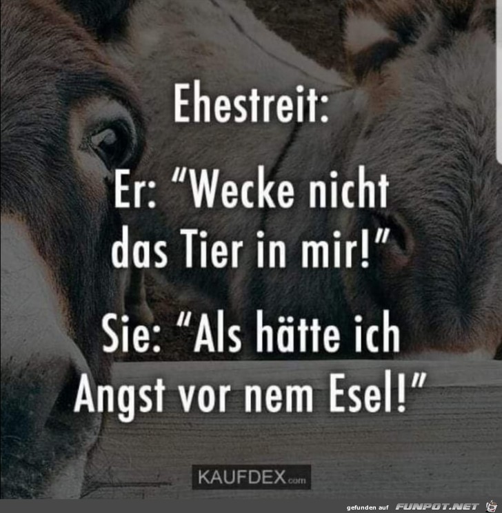 Ehestreit