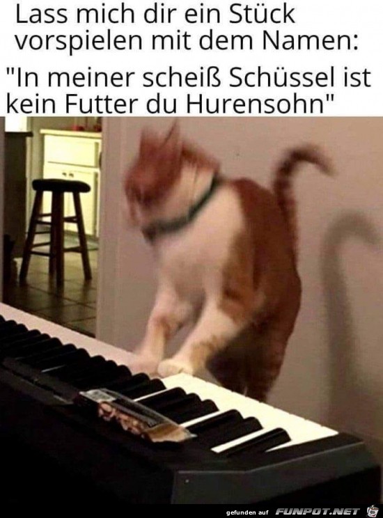 Wie nett