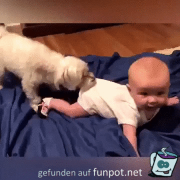 Komm jetzt mit Komm jetzt mit