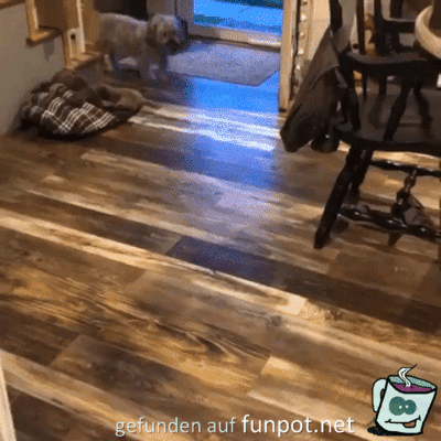 Etwas zu schnell unterwegs Etwas zu schnell unterwegs