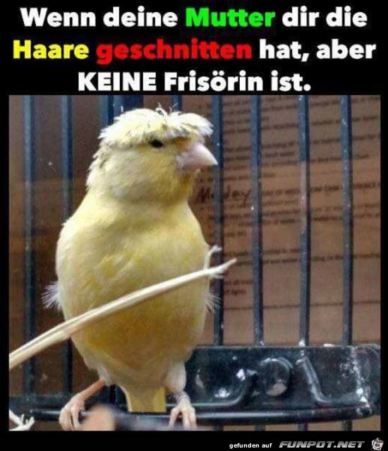 wenn deine Mutter dir die haare geschnitten hat wenn deine Mutter dir die haare geschnitten hat