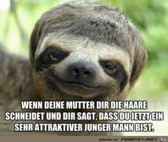 wenn deine mutter dir die haare schneidet wenn deine mutter dir die haare schneidet