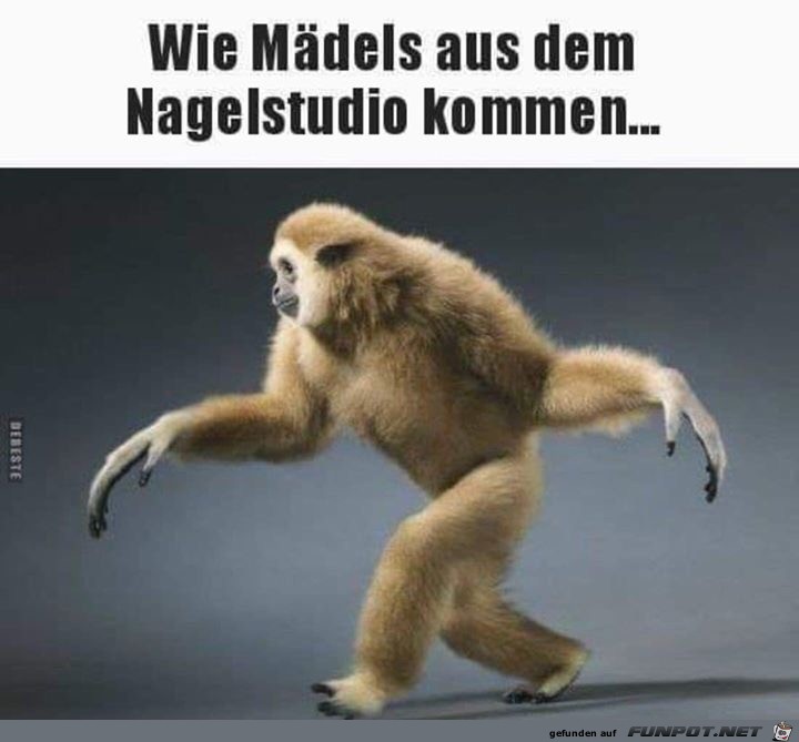 wie maedels wie maedels