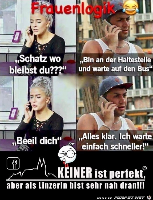 frauenlogik frauenlogik