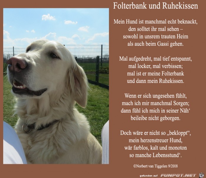Unsere Unsere