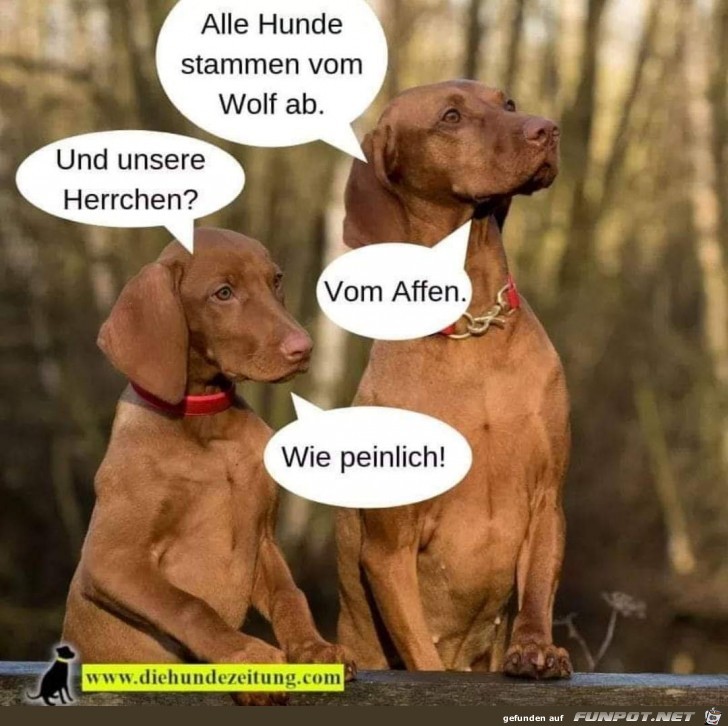 Abstammung Abstammung