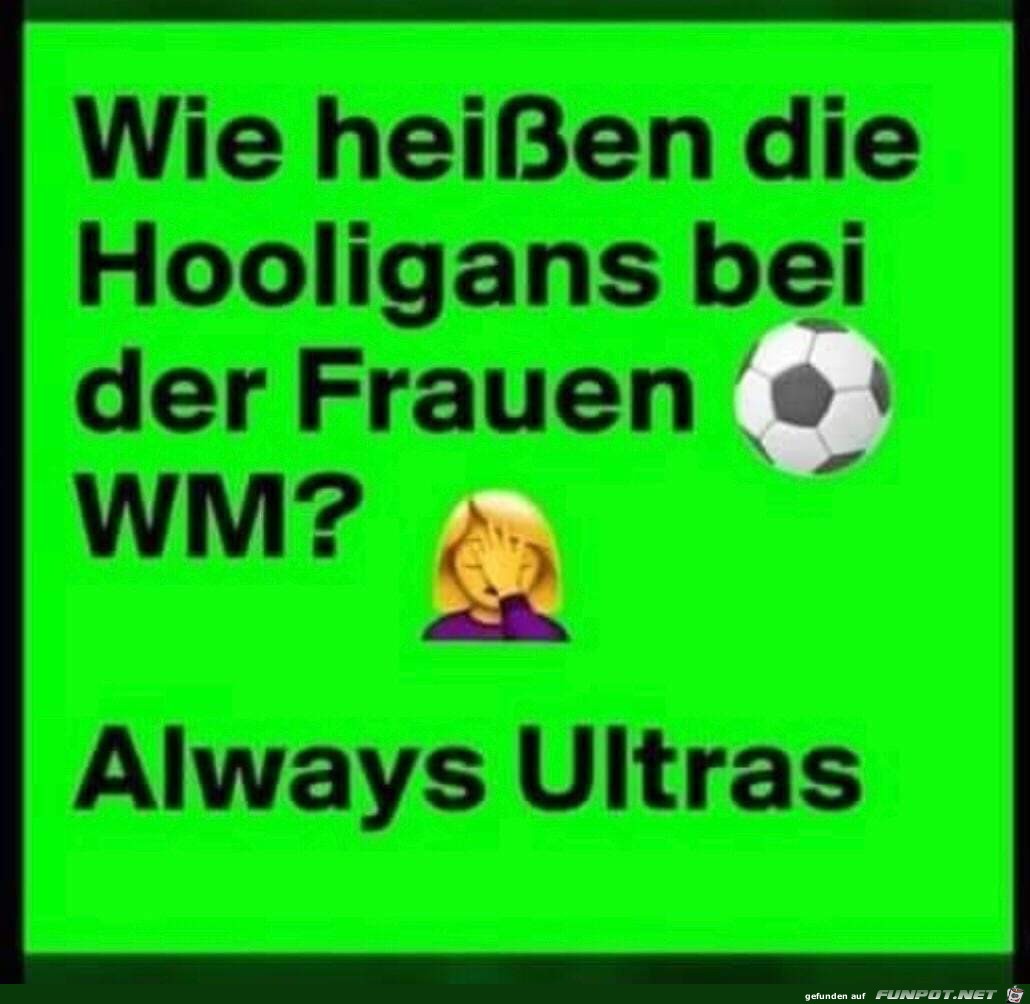 Hooligans Hooligans