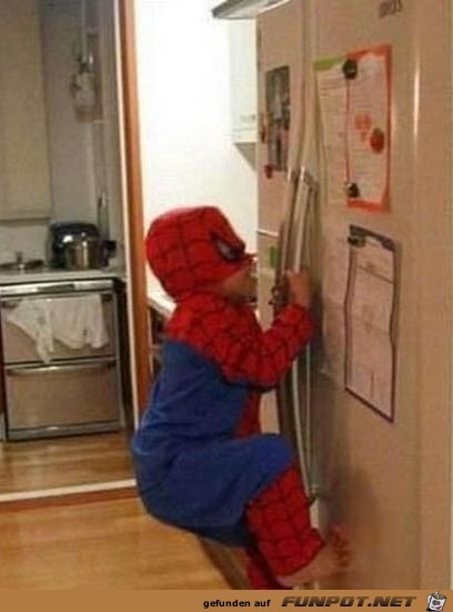 Spider Man Spider Man