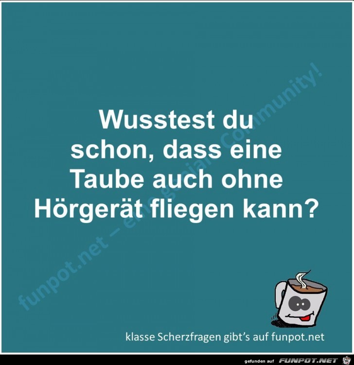 Scherzfrage Scherzfrage