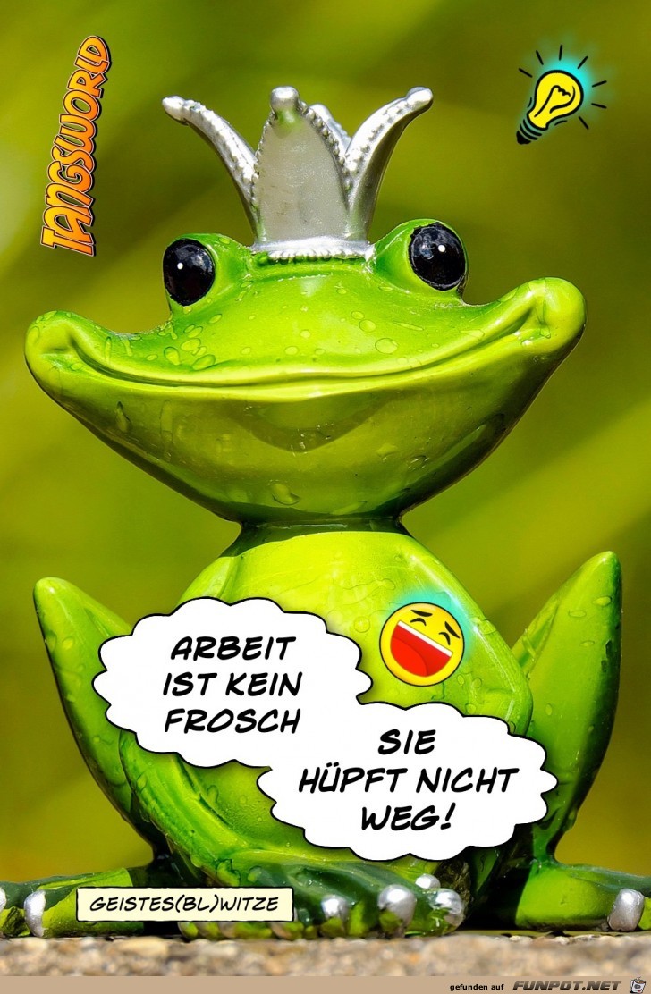 arbeit ist kein frosch arbeit ist kein frosch