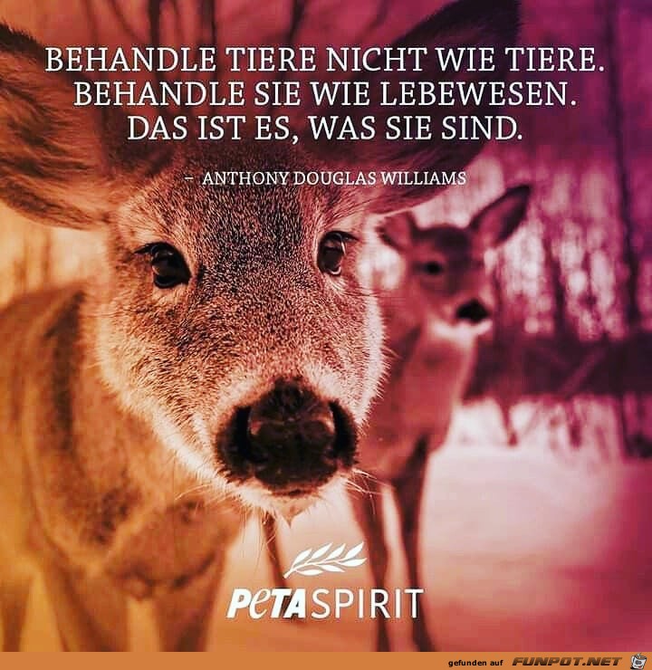 behandle Tiere behandle Tiere