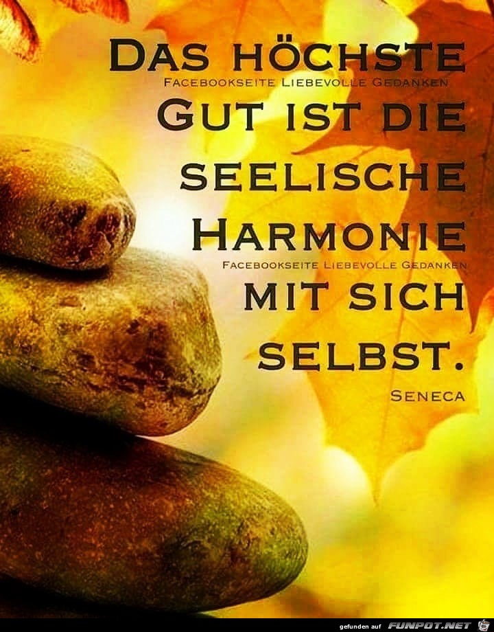 das hoechste gut das hoechste gut