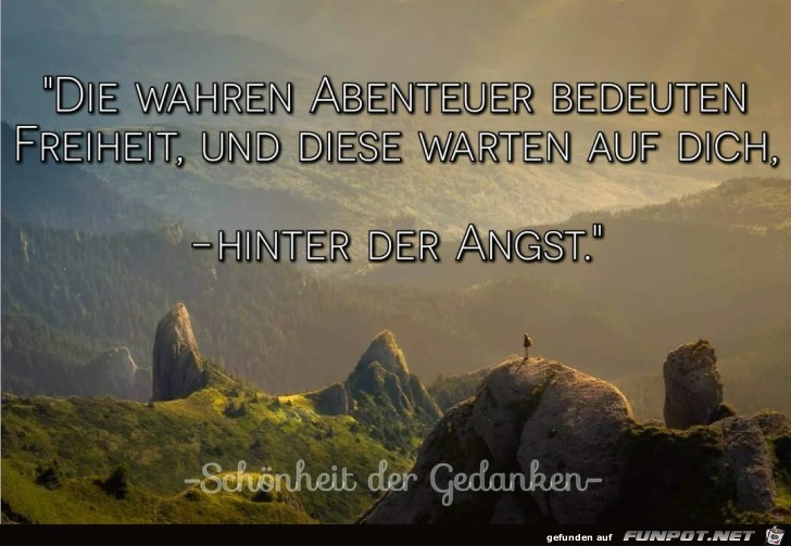 die wahren Abenteuer die wahren Abenteuer
