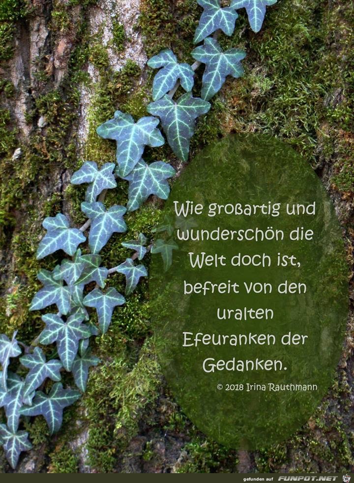 wie grossartig wie grossartig