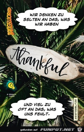 wir denken zu selten wir denken zu selten