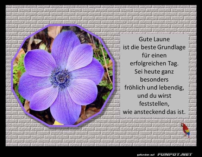 Gute Laune ist Gute Laune ist